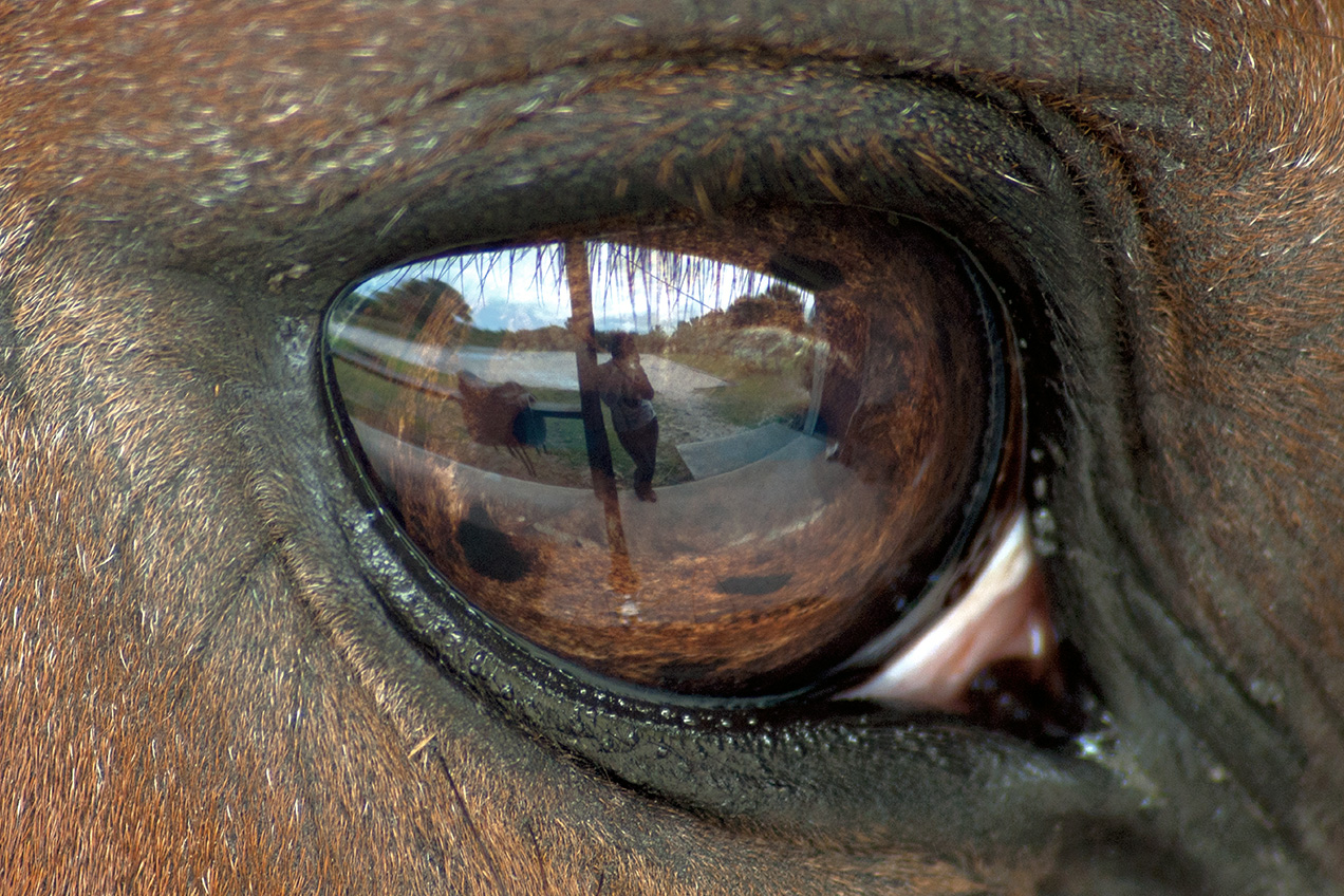 Reflection in his eye